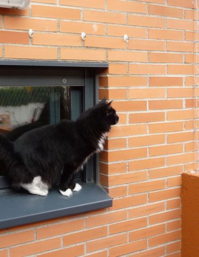 protección de gatos con redes de seguridad