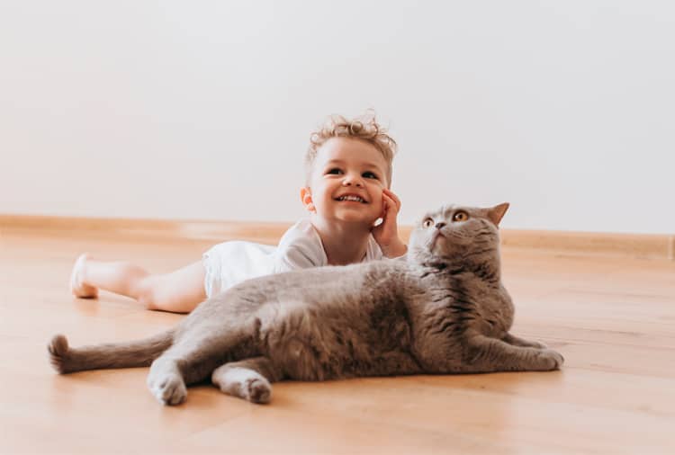 Claves para la convivencia entre gatos y bebés